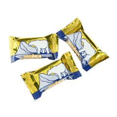 meška šiaurėje.jpeg